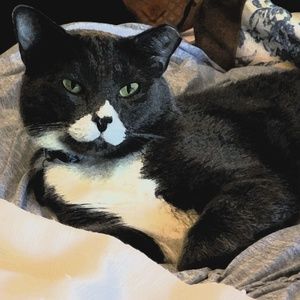 Meet your Posher, Andi